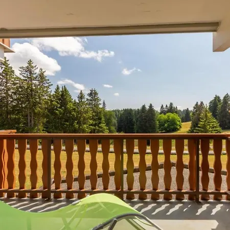 Chaleureux Au Pied Des Pistes - Le Refuge *